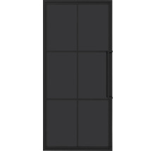 Schwarze Innentür mit Glaseinsätzen und Griff