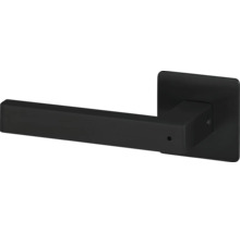 Türklinke aus Metall mit eckiger Rosette