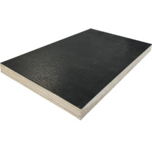 Palette Siebdrucksperrholz Birke Sieb/Film 2500x1250x12 mm = 5 Platten