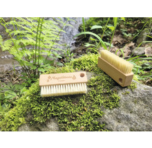 Zwei Nagelbürsten aus Holz mit Borsten liegen auf einem moosbewachsenen Stein in der Natur.