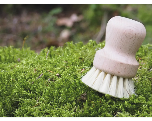 Spülbürste mit Holzgriff auf Moos