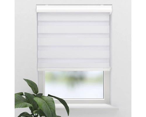 Fenster mit weißem Doppelrollo zur Lichtregulierung
