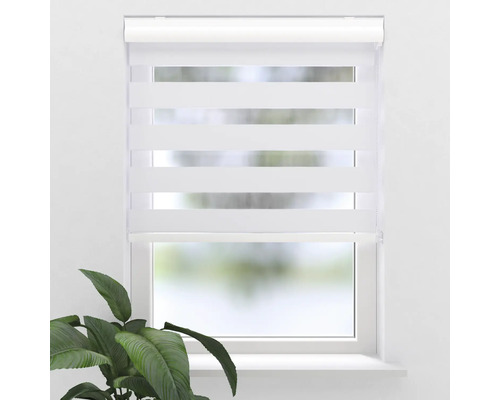SOLUNA Verdunkelungsdoppelrollo D-R6 mit weißer Kassette weiß 40x175 cm Fenster mit Doppelrollo für Sicht- und Sonnenschutz