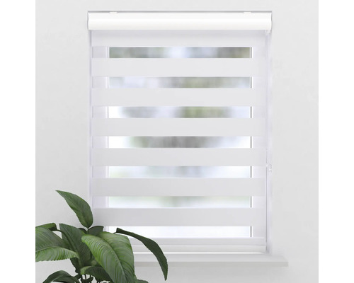 Fenster mit transparentem Doppelrollo