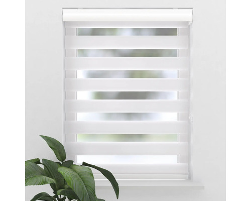 Fenster mit montiertem weißen Doppelrollo zur Fensterdekoration