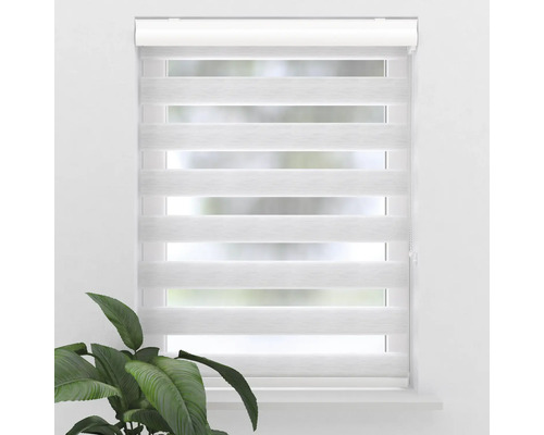 Fenster mit einem horizontalen Duo Rollo zur Lichtregulierung