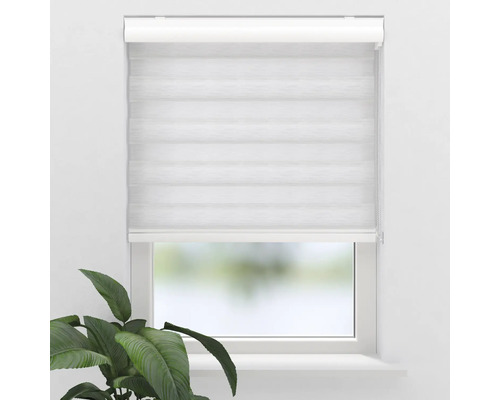 Fenster mit Rollo für Sichtschutz
