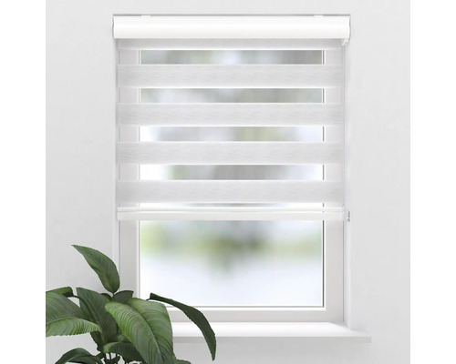 Fenster mit montiertem Doppelrollo zur Lichtregulierung.
