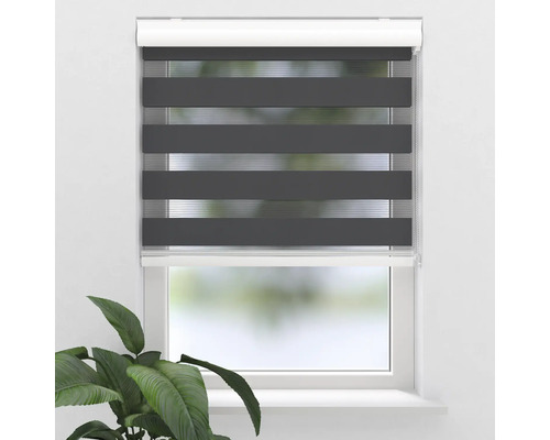 Fenster mit grauem Doppelrollo zur Lichtregulierung
