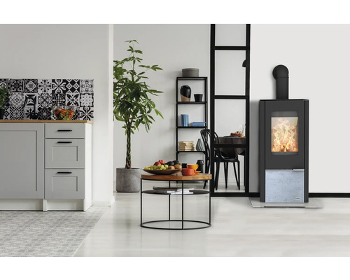 Wohnraum mit Kaminofen, Küchenzeile und Pflanze