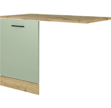 Flex Well Geschirrspülerblende für vollintegrierte Geschirrspüler Cara BxTxH 110 x 60 x 85 cm grün matt zerlegt Anschlag reversibel 00012658