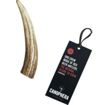 Hundekaustab aus Hirschgeweih mit Canophera Etikett, Größe XS