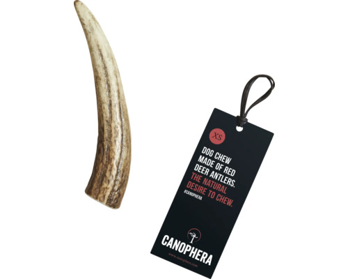 Hundekaustab aus Hirschgeweih mit Canophera Etikett, Größe XS