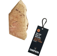 Canophera Hundekauwurzel, mittelgroß, mit Etikett