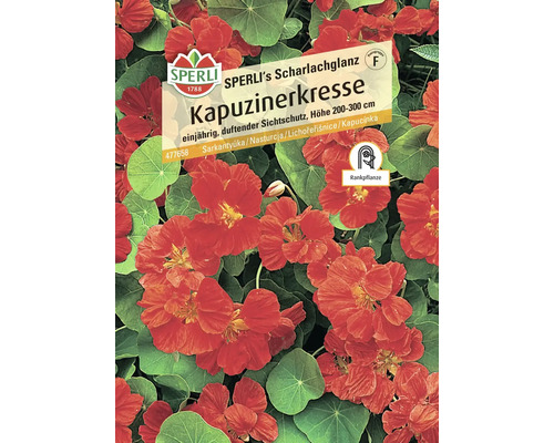 Kapuzinerkresse SPERLI's Scharlachglanz Sperli Samenfestes Saatgut Blumensamen