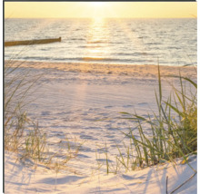 Duschrückwand mySpotti Shower Sunset Sonnenuntergang Strand 255 x 100 cm SH-255100-1969-HB