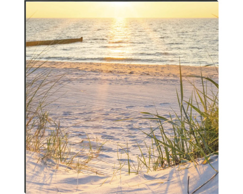 Strand mit Meer und Dünenlandschaft im Sonnenlicht