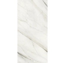 Duschrückwand mySpotti Shower Kyle Marmoroptik 210 x 100 cm SH-210100-1324-HB