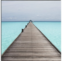 Duschrückwand mySpotti Shower Walking over Water Bootssteg Wasser 255 x 100 cm SH-255100-1399-HB