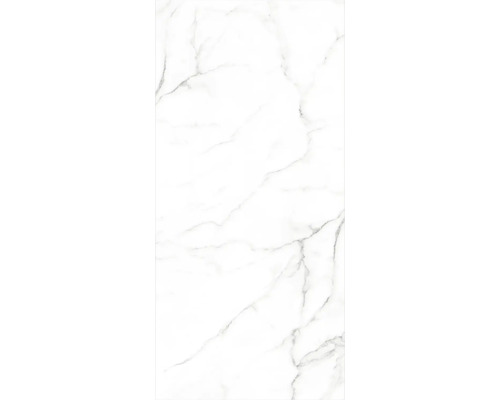 Rechteckige Fliese mit Marmorstruktur.