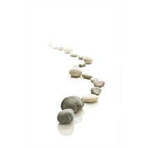 Duschrückwand mySpotti Shower Stone Path Steine Kieselsteine 255 x 150 cm SH-255150-1256-HB