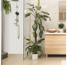 Modernes Badezimmer mit Dusche, Waschbeckenunterschrank und Zimmerpflanzen für eine wohnliche Atmosphäre