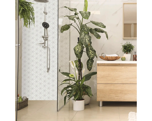 Helles Badezimmer mit Dusche, Waschbeckenunterschrank und Zimmerpflanzen für eine freundliche Atmosphäre.