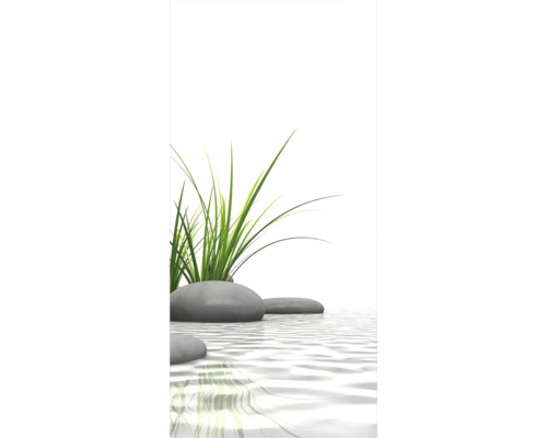 Dekorative Steine ​​mit Gräsern im Wasser