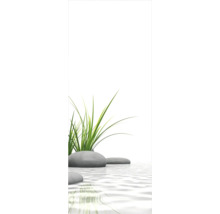 Dekorative grüne Gräser mit grauen Steinen auf Wasser