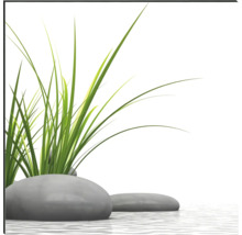 Dekorative Steine ​​mit Ziergras im Wasser