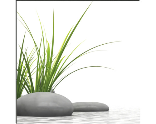 Dekorative Steine ​​mit Ziergras im Wasser