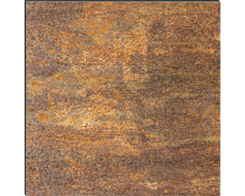 Rostfarbene Metallplatte mit unregelmäßiger Textur.