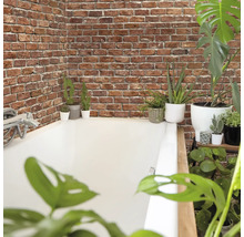 Badezimmer mit Backsteinwand und Pflanzen