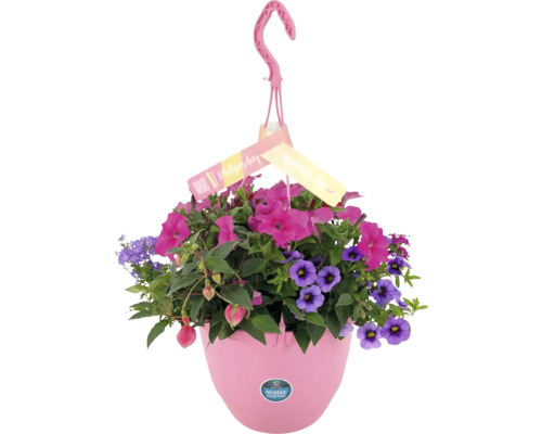 Hängeampel mit verschiedenen Blumen in einem Kunststofftopf
