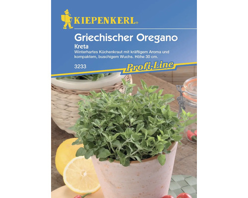 Oregano Kreta, Griechischer Oregano Kiepenkerl Samenfestes Saatgut Kräutersamen Kiepenkerl griechischer Oregano im Topf, winterhartes Küchenkraut