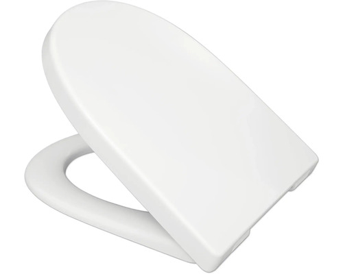 Toilettendeckel aus Kunststoff