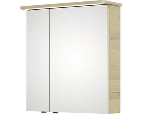 Spiegelschrank mit zwei Türen und Beleuchtung