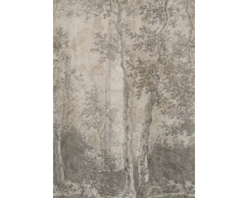 Fototapete Vlies LOOKS 121027 Birchtrees grau 4-tlg. 200 x 270 cm