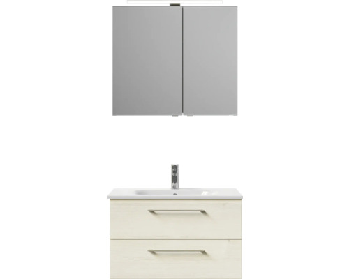 Badezimmerset mit Spiegelschrank, Waschbecken und Unterschrank