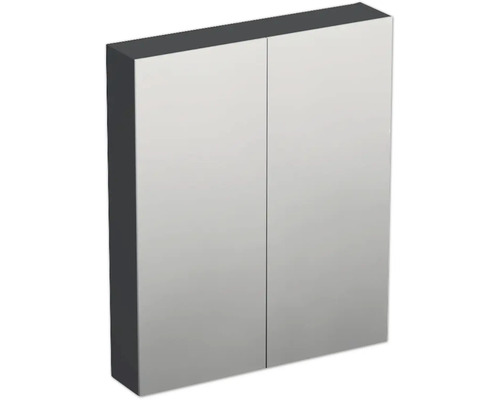 Jungborn Spiegelschrank TRENTA 60 x 14,4 x 72 cm anthrazit matt 2-türig IP 44 Spiegelschrank mit zwei Türen für das Badezimmer