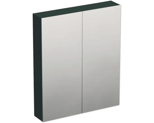 Jungborn Spiegelschrank TRENTA 60 x 14,4 x 72 cm grün Salvia matt 2-türig IP 44 Spiegelschrank mit zwei Türen für das Badezimmer