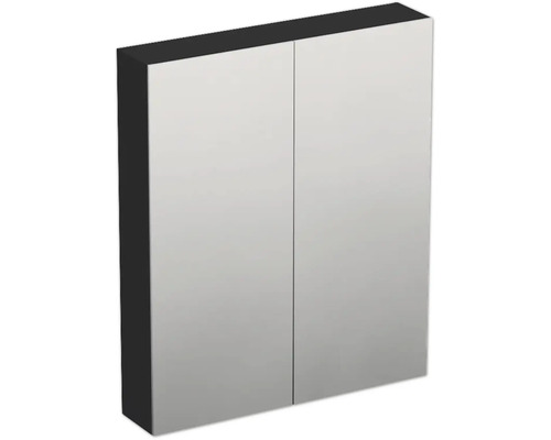 Spiegelschrank Jungborn TRENTA 60 x 14,4 x 72 cm schwarz zu A9276 matt 2-türig IP 44