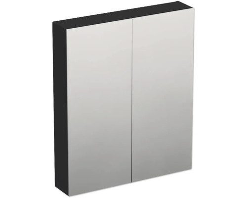 Spiegelschrank Jungborn TRENTA 60 x 14,4 x 72 cm schwarz zu LR29 matt 2-türig IP 44