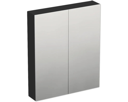 Jungborn Spiegelschrank TRENTA 60 x 14,4 x 72 cm schwarz zu LR29 matt 2-türig IP 44 Spiegelschrank mit zwei Türen