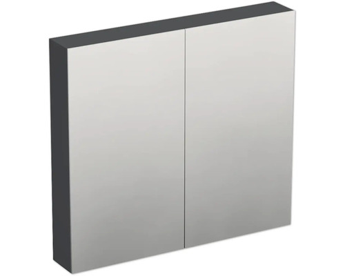 Jungborn Spiegelschrank TRENTA 80 x 14,4 x 72 cm anthrazit matt 2-türig IP 44 Spiegelschrank mit zwei Türen für das Badezimmer