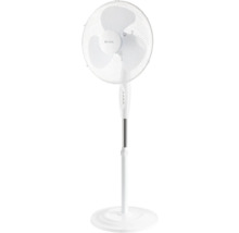 Standventilator zur Kühlung von Räumen