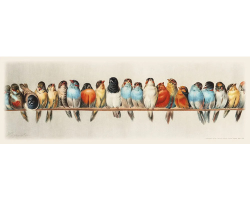 Leinwandbild Birds III 77x27 cm Illustration von vielen bunten Vögeln auf einer Stange