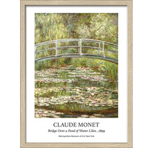 Gerahmter Druck von Claude Monets Brücke über einen Teich mit Seerosen, 1899