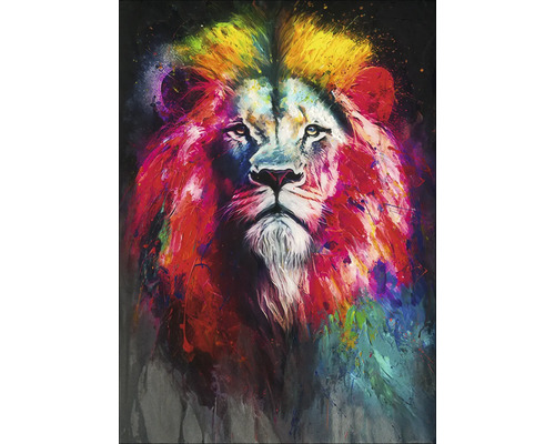 Leinwandbild Original Colorful Lion Head VI 50x70 cm