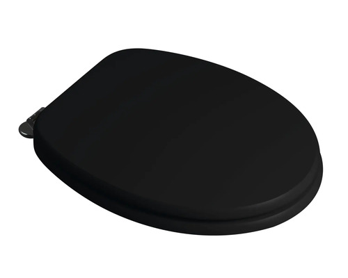 Schwarzer Toilettendeckel